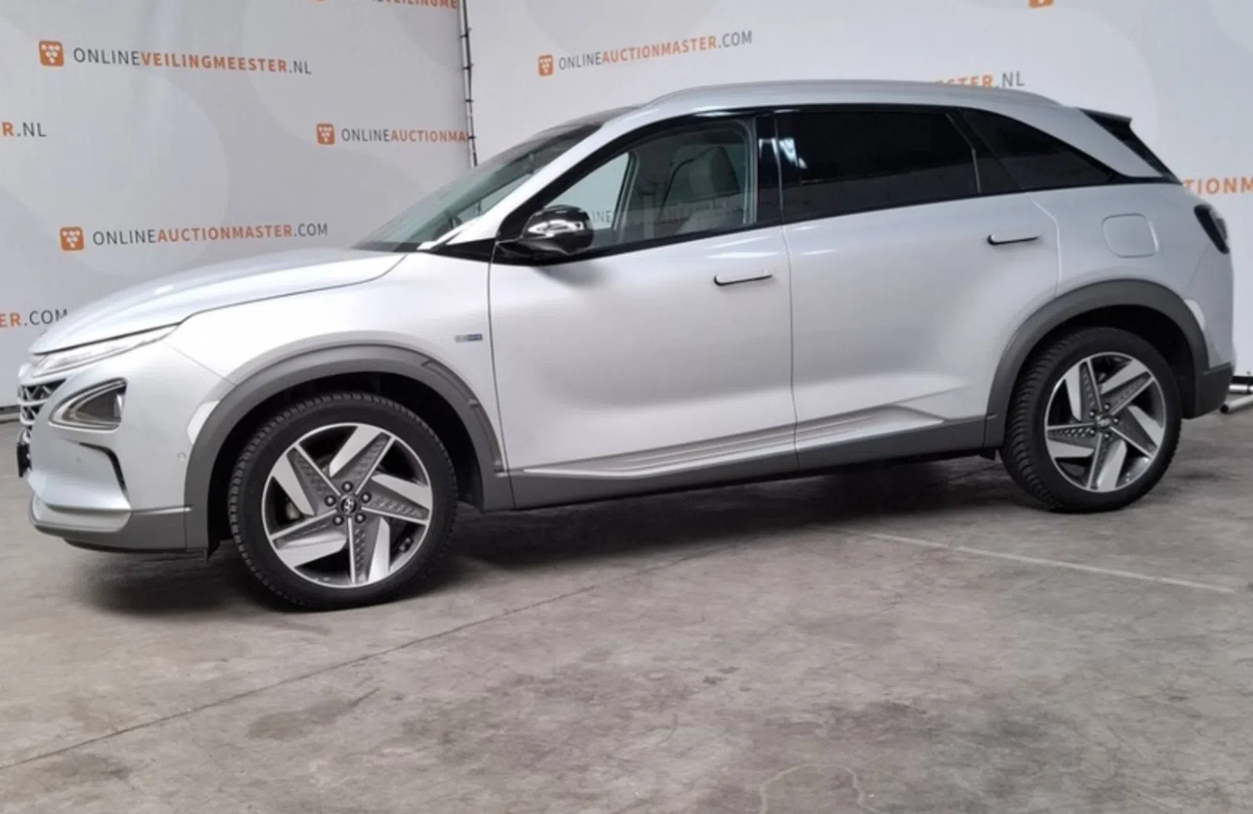 Hyundai Nexo Domeinen